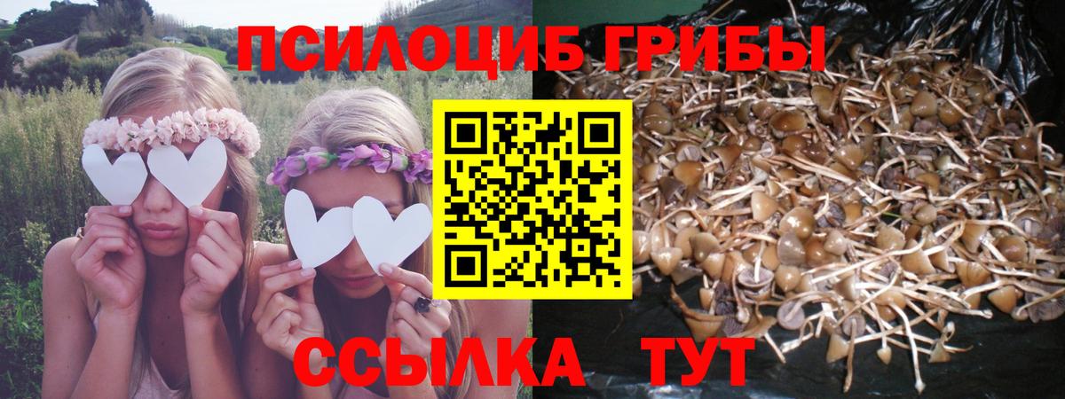 Альфа ПВП Альметьевск