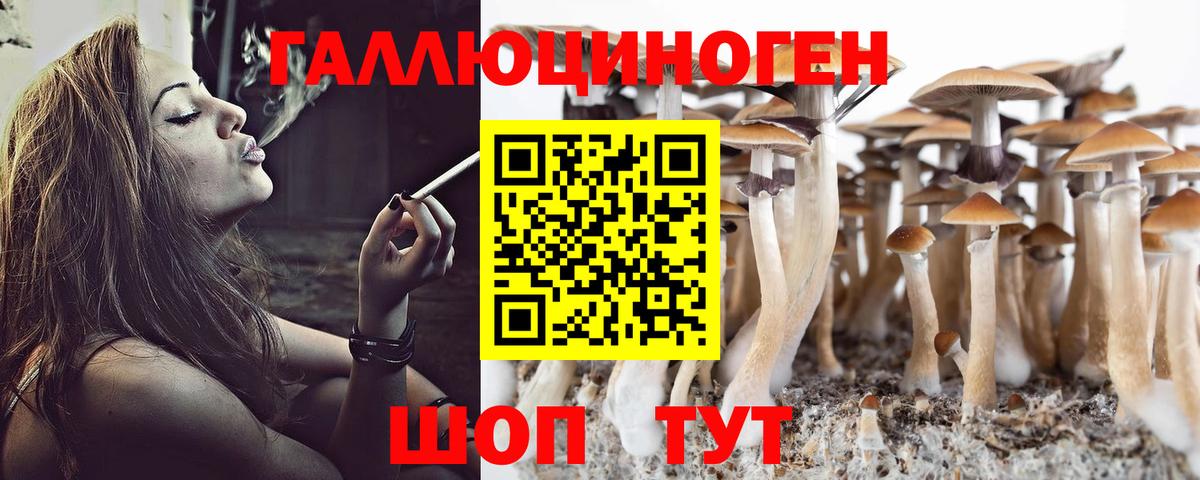 Псилоцибиновые грибы мицелий  Вход с VPN  Альметьевск 